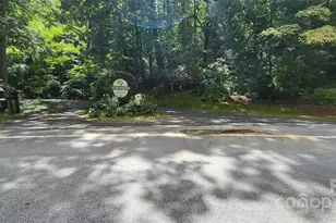 1 1 Acres Orchard Ln, Saluda, NC 28773 - Photo 1