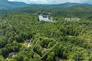 331 Thomas Rd, Hendersonville, NC 28739 - Photo 47