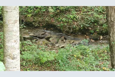 306 Henry Dingus Way, Maggie Valley, NC 28751 - Photo 41