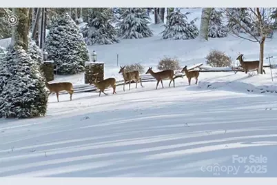 198 Little Harbour None, Vilas, NC 28692 - Photo 47