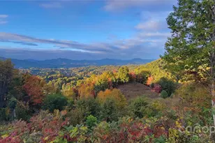 93 Lombard St, Waynesville, NC 28786 - Photo 43