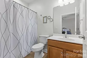 388 Cove Creek Loop, Mooresville, NC 28117 - Photo 25