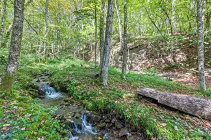 839 Wolf Laurel Dr, Maggie Valley, NC 28751 - Photo 7