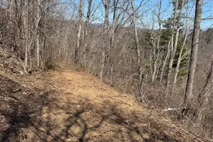 140 Summit Tower Cir, Asheville, NC 28804 - Photo 13