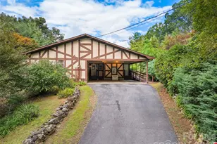 21 Gunter Dr, Waynesville, NC 28785 - Photo 3