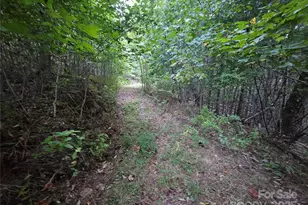 000 Double Island Rd, Green Mountain, NC 28740 - Photo 3