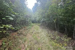 000 Double Island Rd, Green Mountain, NC 28740 - Photo 5