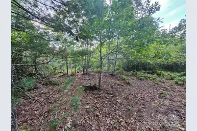 000 Double Island Road, Green Mountain, NC 28740 - Photo 17