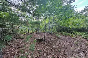 000 Double Island Rd, Green Mountain, NC 28740 - Photo 17