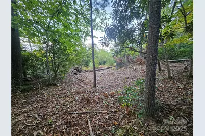 000 Double Island Road, Green Mountain, NC 28740 - Photo 29