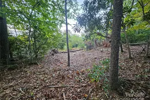 000 Double Island Rd, Green Mountain, NC 28740 - Photo 29