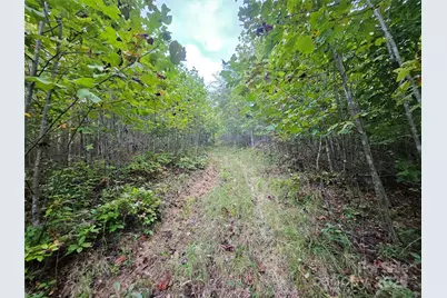 000 Double Island Road, Green Mountain, NC 28740 - Photo 11