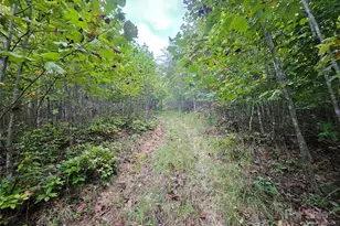 000 Double Island Rd, Green Mountain, NC 28740 - Photo 11