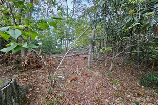 000 Double Island Rd, Green Mountain, NC 28740 - Photo 25