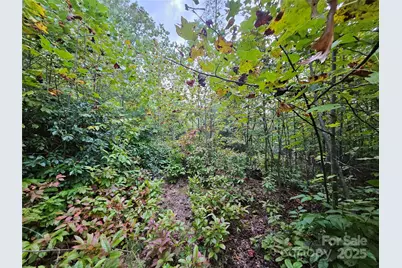 000 Double Island Road, Green Mountain, NC 28740 - Photo 13