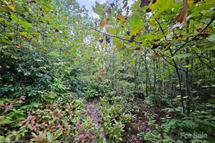 000 Double Island Rd, Green Mountain, NC 28740 - Photo 13