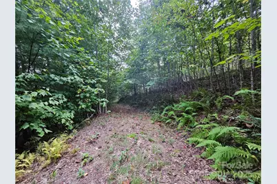 000 Double Island Road, Green Mountain, NC 28740 - Photo 9