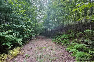 000 Double Island Rd, Green Mountain, NC 28740 - Photo 9