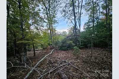 000 Double Island Road, Green Mountain, NC 28740 - Photo 27