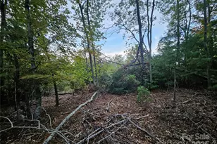 000 Double Island Rd, Green Mountain, NC 28740 - Photo 27