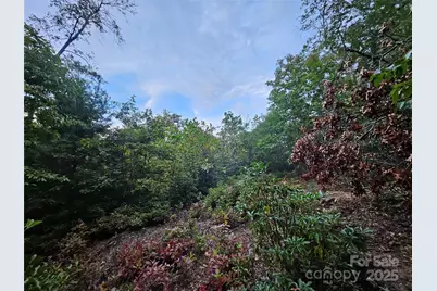 000 Double Island Road, Green Mountain, NC 28740 - Photo 23