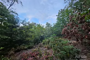 000 Double Island Rd, Green Mountain, NC 28740 - Photo 23