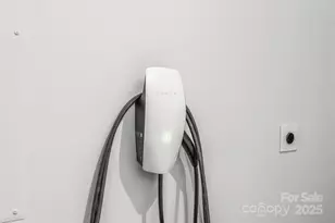 134 Winterberry St, Mooresville, NC 28117 - Photo 39