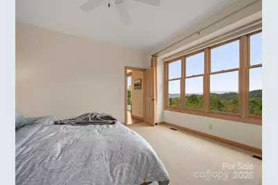 18 Wild Ivy Run, Hendersonville, NC 28739 - Photo 23