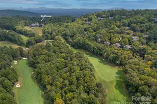 18 Wild Ivy Run, Hendersonville, NC 28739 - Photo 47