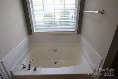301 River Birch Circle, Mooresville, NC 28115 - Photo 25