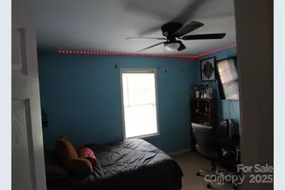 301 River Birch Circle, Mooresville, NC 28115 - Photo 13