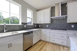 309 Old Town Vlg Rd, Waxhaw, NC 28173 - Photo 9