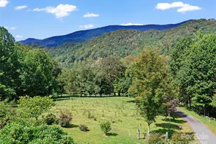 1992 Green Creek Rd, Bakersville, NC 28705 - Photo 37