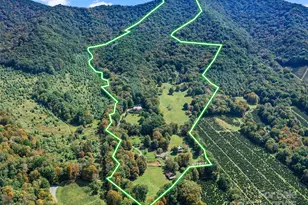 1992 Green Creek Rd, Bakersville, NC 28705 - Photo 45