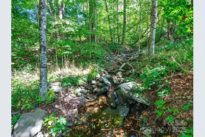 1992 Green Creek Road, Bakersville, NC 28705 - Photo 41