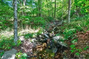 1992 Green Creek Rd, Bakersville, NC 28705 - Photo 41