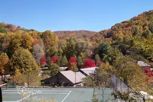 70 Double Back Ln, Mars Hill, NC 28754 - Photo 47