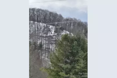 70 Double Back Lane, Mars Hill, NC 28754 - Photo 35