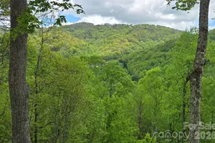 70 Double Back Ln, Mars Hill, NC 28754 - Photo 33
