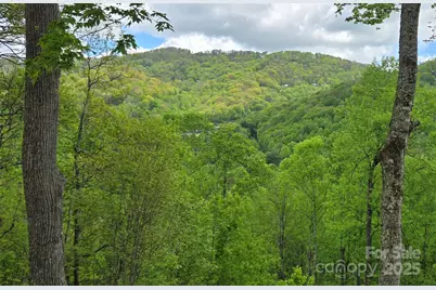 70 Double Back Lane, Mars Hill, NC 28754 - Photo 33
