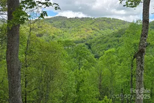 70 Double Back Ln, Mars Hill, NC 28754 - Photo 33