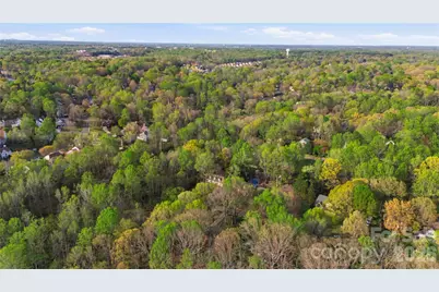 1210 Plum Branch Lane, Fort Mill, SC 29715 - Photo 45