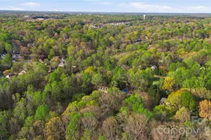 1210 Plum Branch Ln, Fort Mill, SC 29715 - Photo 45