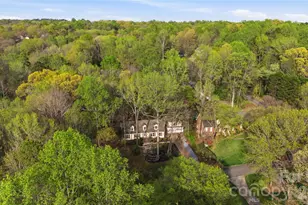 1210 Plum Branch Ln, Fort Mill, SC 29715 - Photo 43