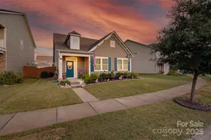 9619 Rayneridge Drive, Huntersville, NC 28078 - Photo 35