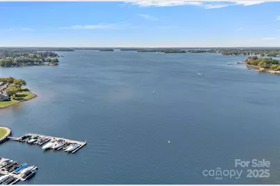 18673 Vineyard Point Lane, Cornelius, NC 28031 - Photo 29