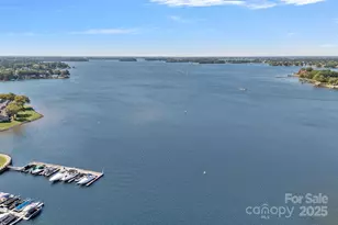 18673 Vineyard Point Ln, Cornelius, NC 28031 - Photo 29