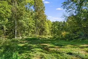 456 Maney Br Rd, Burnsville, NC 28714 - Photo 35