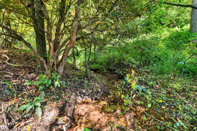 456 & 000 Maney Branch Road, Burnsville, NC 28714 - Photo 33