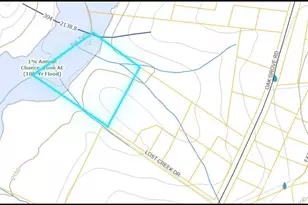 160 Lost Creek Dr, Flat Rock, NC 28731 - Photo 3